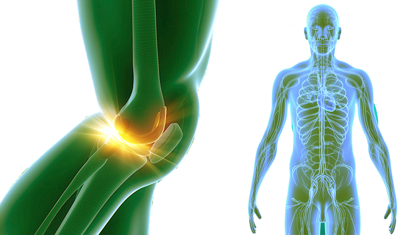 osteopatía o fisioterapia osteopatía o fisioterapia